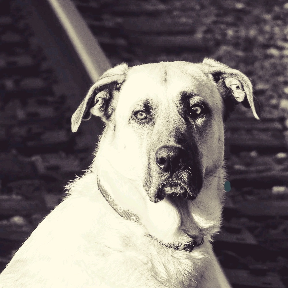 Meet your Posher, Gabby